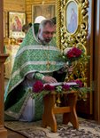 8 июня 2014 г. День Святой Троицы